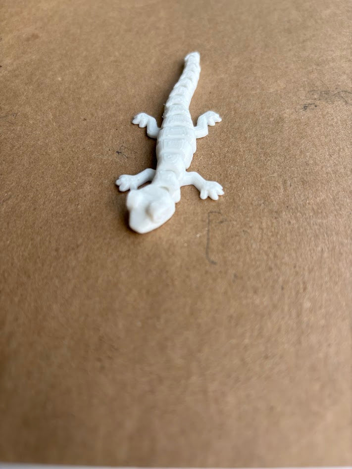 3D Printed Gecko