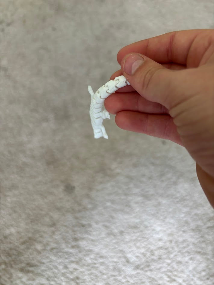 3D Printed Gecko